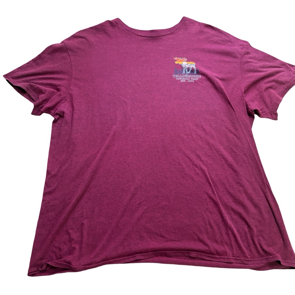Men's Maroon T-Shirt